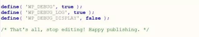 Bild: Manueller Debug bei WordPress