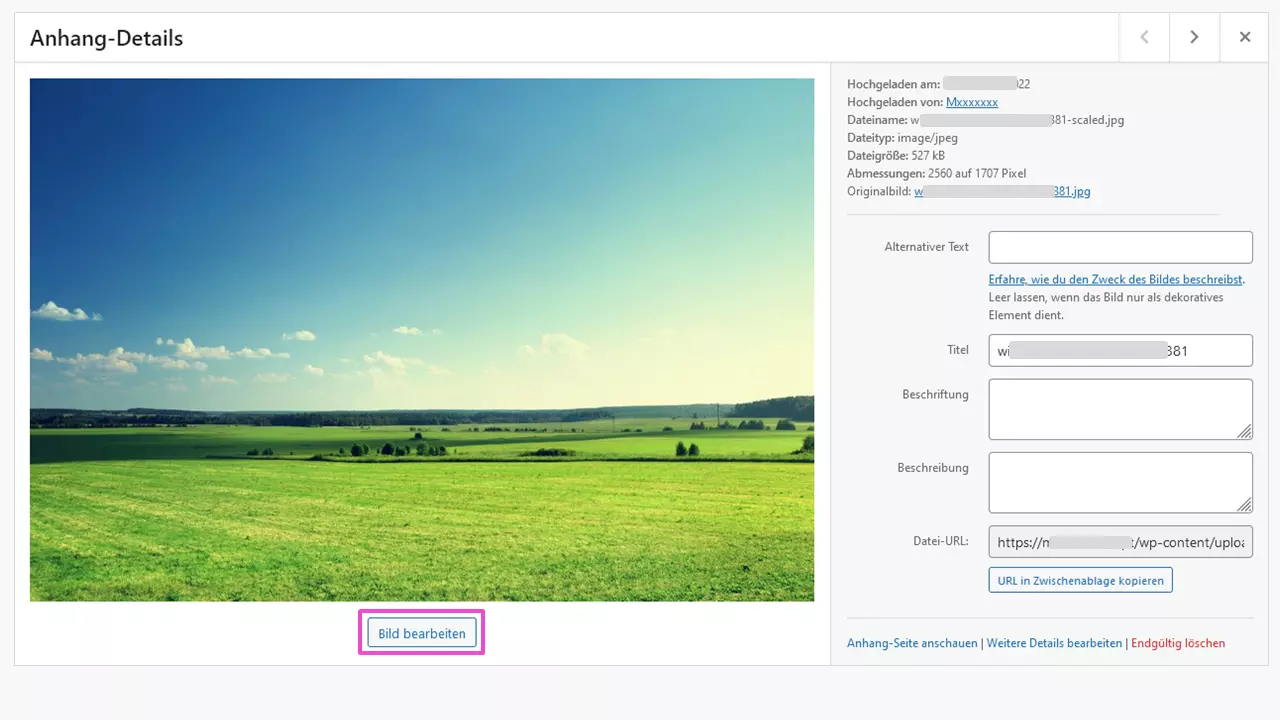 Bildbearbeitung in der WordPress-Mediathek Bild: Bildbearbeitung in der WordPress-Mediathek