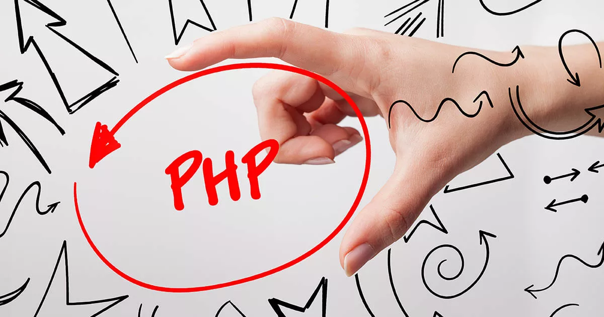 Bild: Install PHP Composer in IONOS Webhosting Paketen